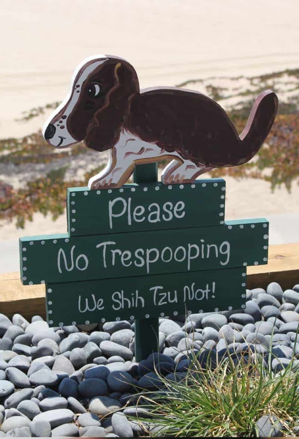 Why Hiring a Dog Pooper Scooper Service is a Good Idea