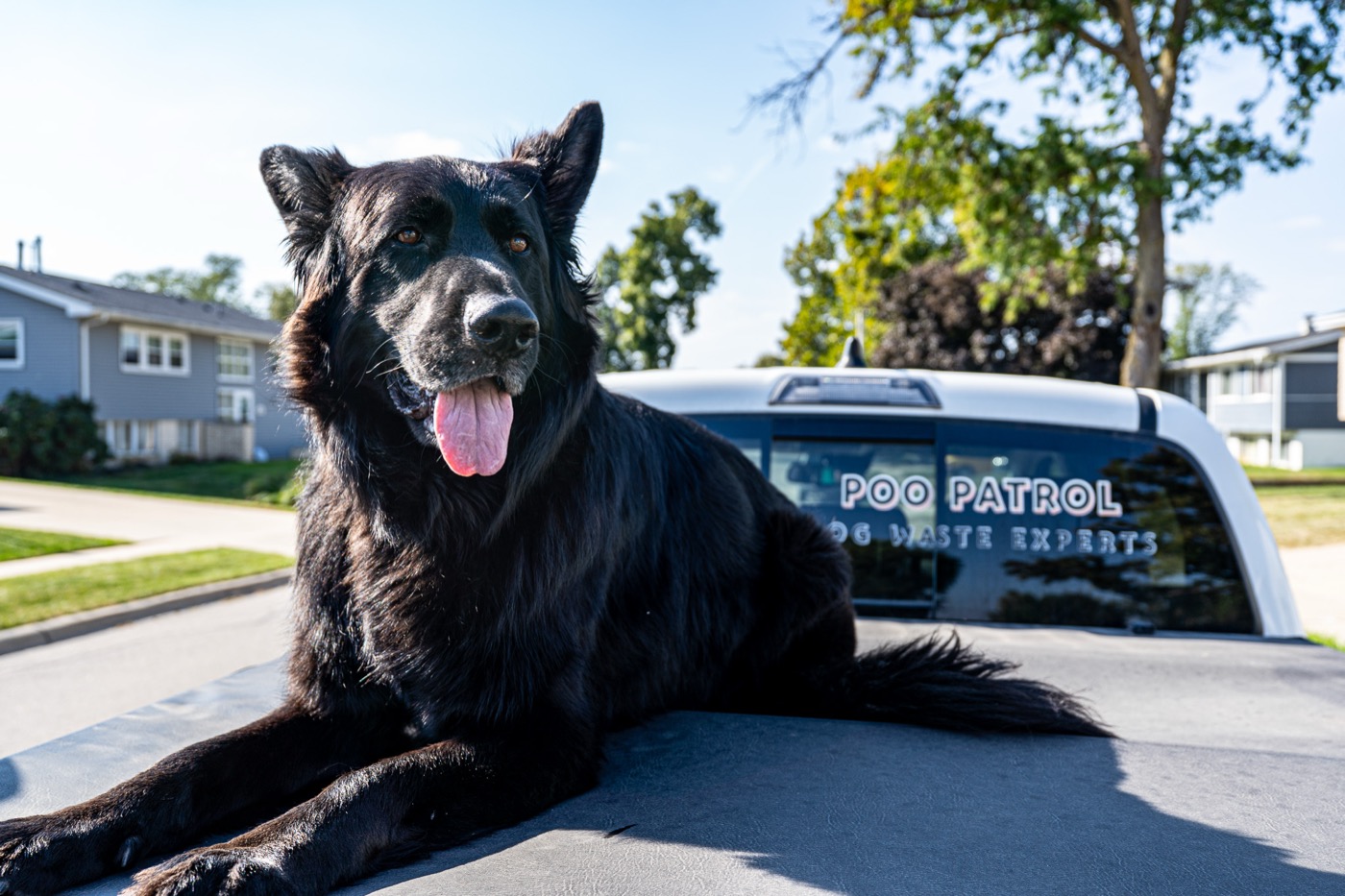 Fall Tick Season in Iowa: Why Your Dog Isn't in the Clear Yet