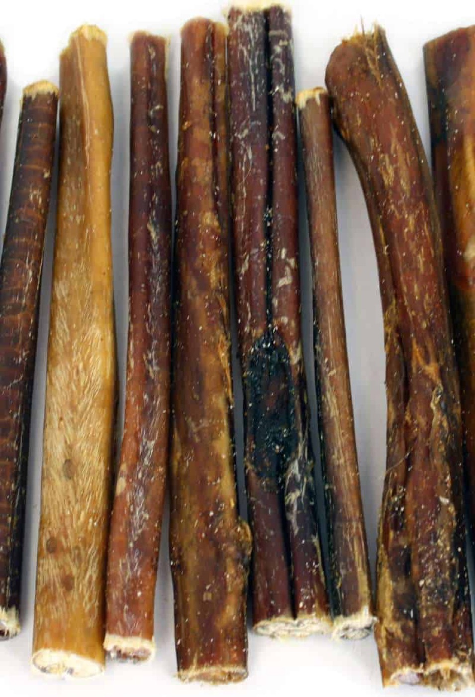 Are Bully sticks good for dogs ok