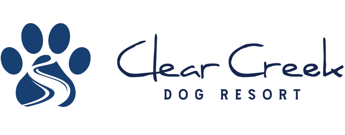Doggy Daycare Iowa City, IA