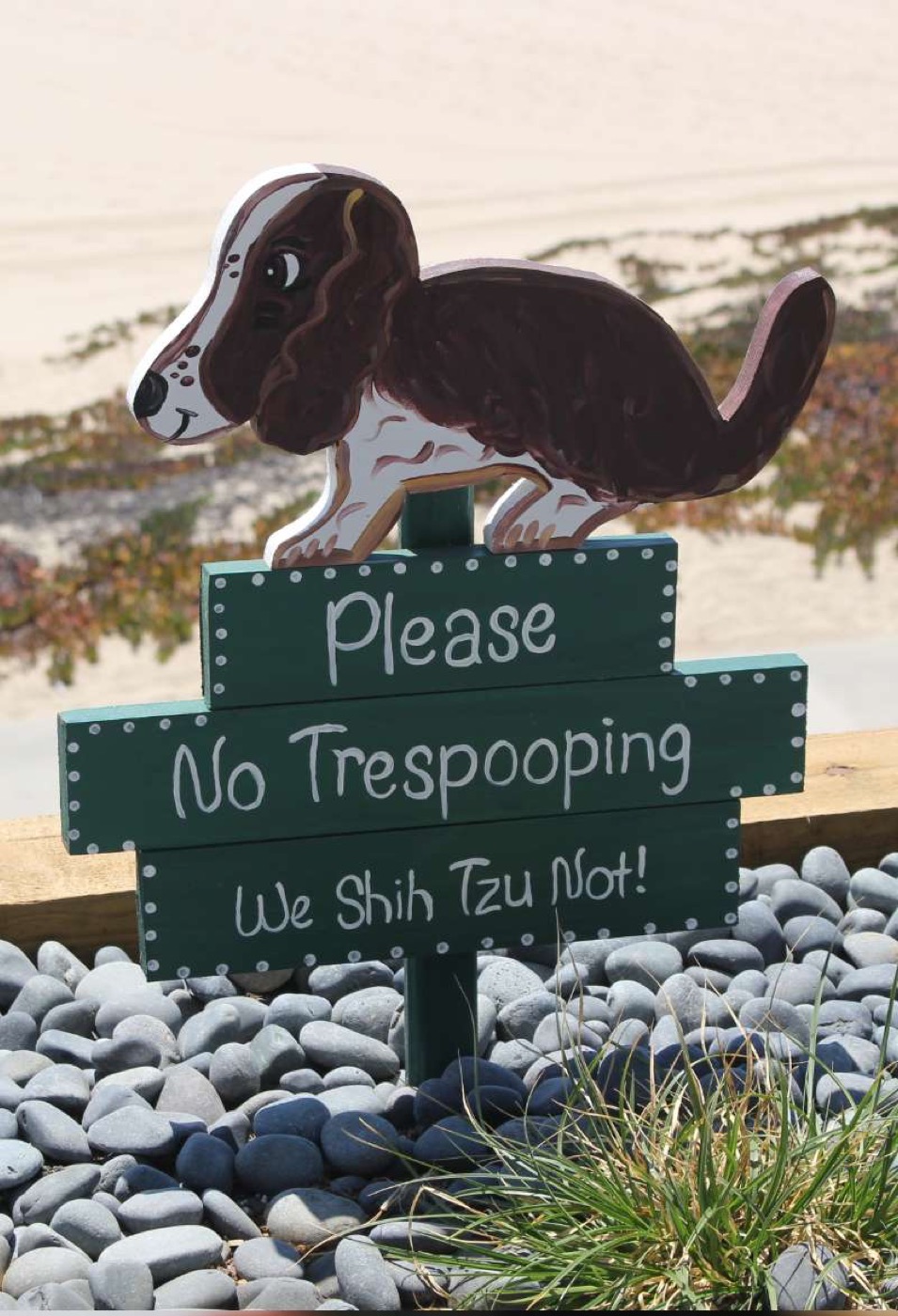 dog poop scooper shit service near me